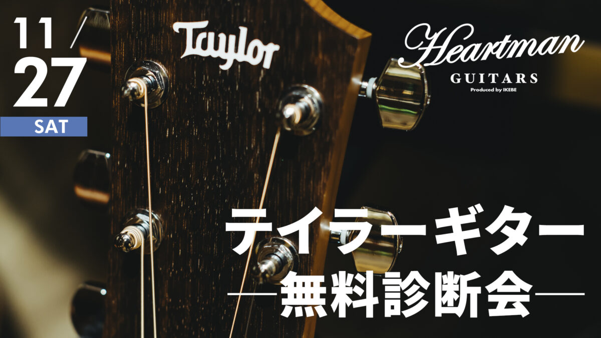 Taylor Guitars 無料診断会
