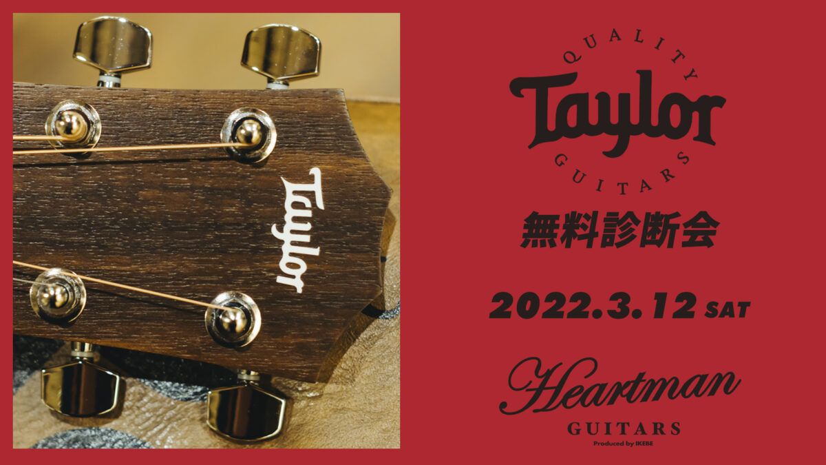Taylor Guitars 無料診断会